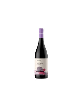Villa Raiano Campania Rosso Igt Aglianico 2024