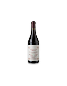 Giuseppe Mascarello Langhe Nebbiolo Doc dai Vigneti di Proprietà 2023