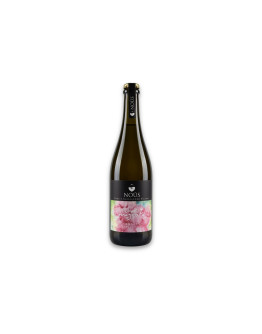 Nous Verona Bianco Frizzante Igt Garganega Bolle di Magenta 2021