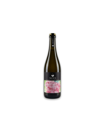 Nous Verona Bianco Frizzante Igt Garganega Bolle di Magenta 2021