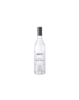 Liquore Briottet Crema di Menta Bianca