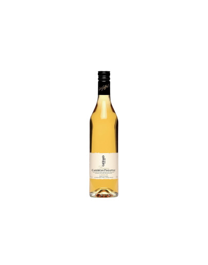 Giffard Caribbean Pineapple