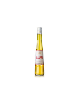 Galliano L'autentico