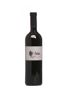 Merlot 2013