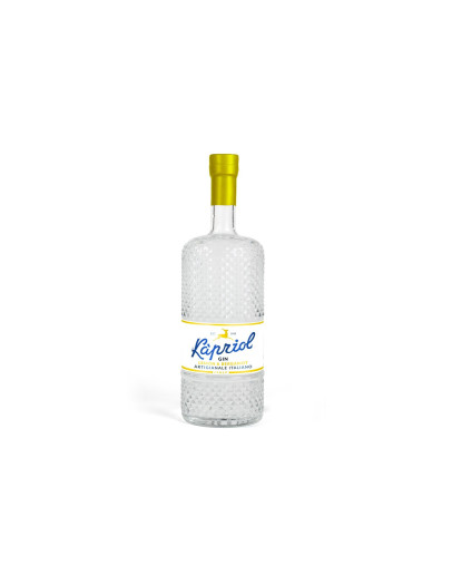 Distilleria dell’Alpe Gin Kapriol Lemon & Bergamot