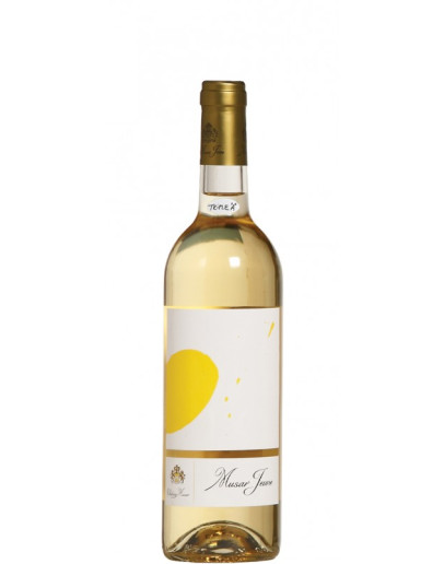 Musar Jeune Bianco