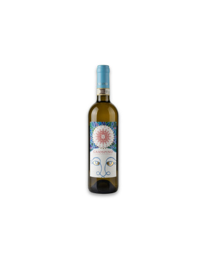 Fattoria Coroncino Castelli di Jesi Verdicchio Classico Riserva Docg Gaiospino 2022-2023