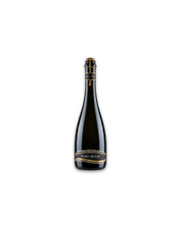 Nani Rizzi Vino Bianco Frizzante Spago Secco Sans Année