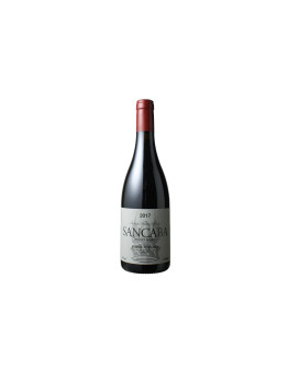 Tenuta di Trinoro Sancaba Toscana Rosso Igt Pinot Nero 2022