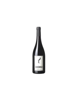 Fedellos do Couto Viños do Macizo Ourensan Vino Tinto de España Camándula 2019