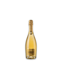 Giorgi Vino Spumante di Qualità Metodo Classico Gianfranco Giorgi Brut Sans Année