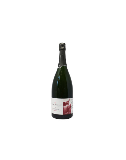 Pierre Trichet Champagne Premier Cru Aoc L'Autentique Brut
