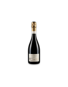 Pierre Trichet Champagne Aoc Cuvée 1333 Brut