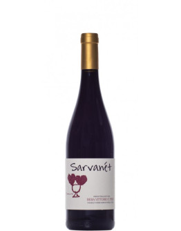 Sarvanét