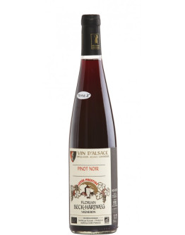 Alsace Pinot Noir Dambach-La-Ville