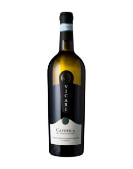 VICARI CAPOFILA VERDICCHIO CASTELLI DI JESI 2023