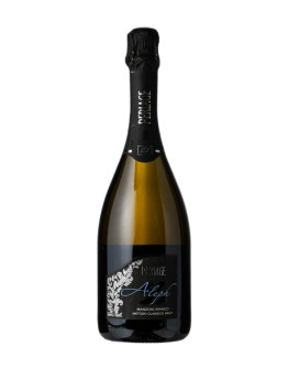 PERLAGE MANZONI BIANCO METODO CLASSICO BRUT ALEPH