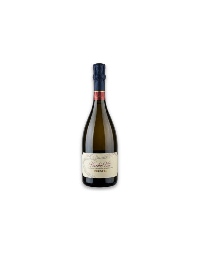 Ruggeri Valdobbiadene Prosecco Superiore Docg Vecchie Viti Brut Millesimato 2025