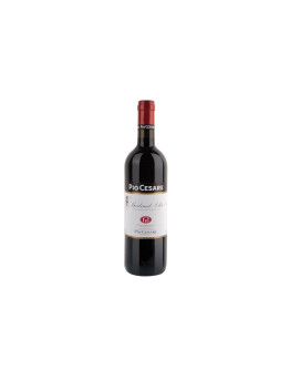 Pio Cesare Barbera d'Alba Doc 2024