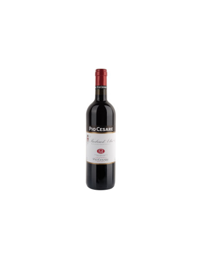 Pio Cesare Barbera d'Alba Doc 2024