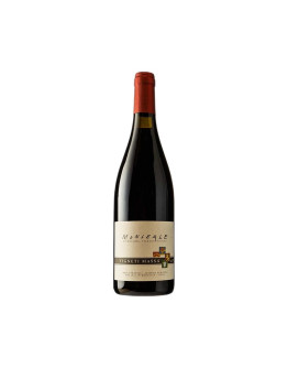 VIGNETI MASSA BARBERA MONLEALE 2018