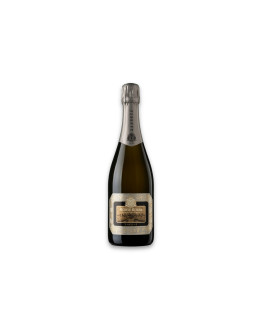 Monte Rossa Franciacorta Satèn Docg Sansevé Brut