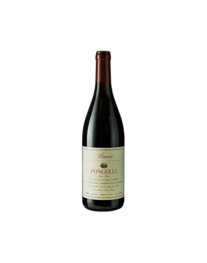 Bucci Rosso Piceno Tenuta Pongelli 2020-2021 75 cl