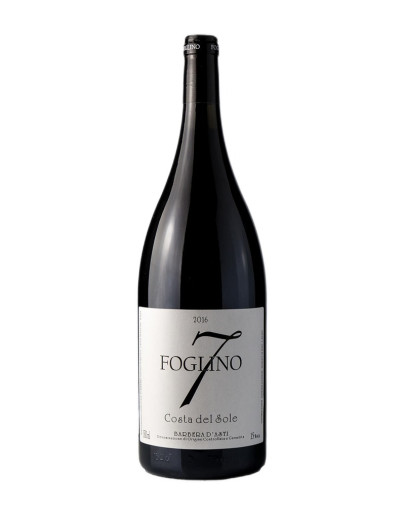 FOGLINO BARBERA D'ASTI COSTA DEL SOLE  MAGNUM