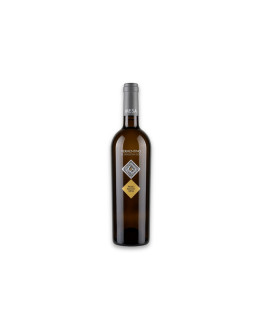 Mesa Vermentino di Sardegna Doc Primo Bianco 2025