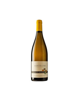 VIGNETI MASSA DERTHONA 2024