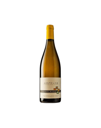 VIGNETI MASSA DERTHONA 2024