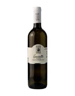 MORETTI OMERO GRECHETTO UMBRIA 2024