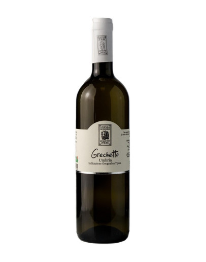MORETTI OMERO GRECHETTO UMBRIA 2024