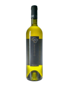 ROCCHE DEL GATTO PIGATO 2022-2023