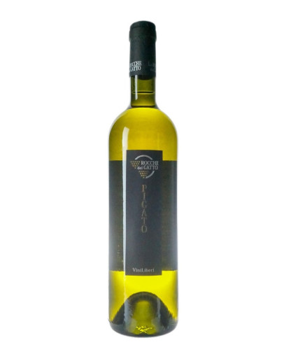 ROCCHE DEL GATTO PIGATO 2022-2023