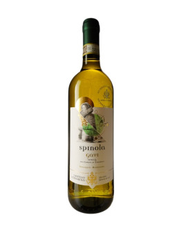 CASTELLO TASSAROLO GAVI DOCG 2022-2024