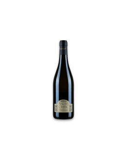 Marina Cvetic Colline Teatine Bianco Igt Chardonnay 2022