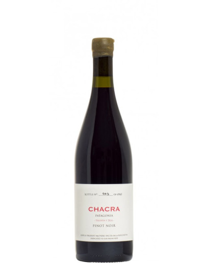 Chacra 32 2020