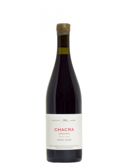 Chacra 32 2023