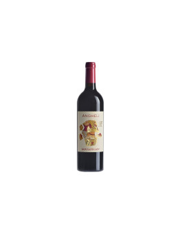 Donna Fugata Donnafugata Sicilia Rosso Doc Merlot e Cabernet Sauvignon Angheli 2021