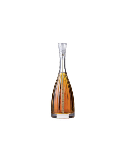 Brandy Arzente Bellavista