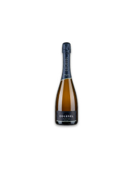 Colesel Valdobbiadene Docg Pal de testa Brut 2025