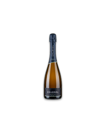 Colesel Valdobbiadene Docg Pal de testa Brut 2025