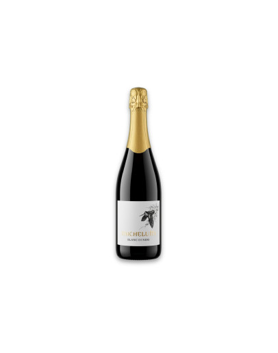 Michelutti Vino Spumante di Qualità Metodo Classico Blanc di Neri Brut Sans Année