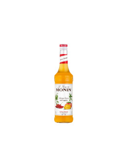 Le Sirop de Monin Sciroppo Spicy Mango Arômes Naturels