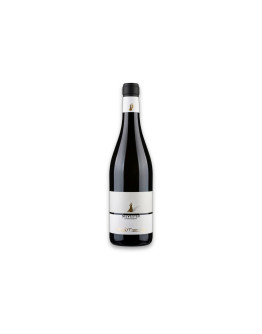 Zanotelli Trentino Doc Chardonnay Silvester 2018