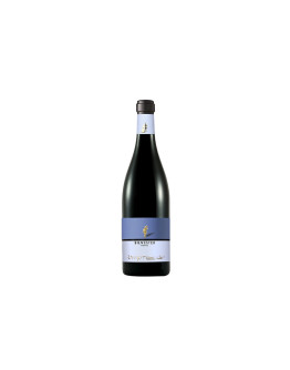 Zanotelli Trentino Doc Pinot Nero Riserva Silvester 2020