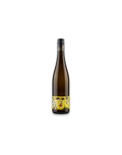 Prechtl Niederösterreich Qualitätswein Madame Limette Welschriesling 2025