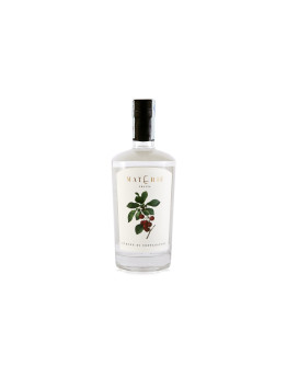 Dream Whisky Materiae distillato di Ciliegia Durone di Costasavina