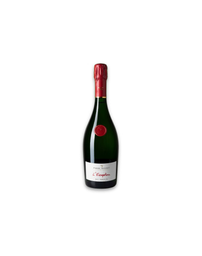 Pierre Trichet Champagne Premier Cru Aoc L'Exception Brut Millésime 2018